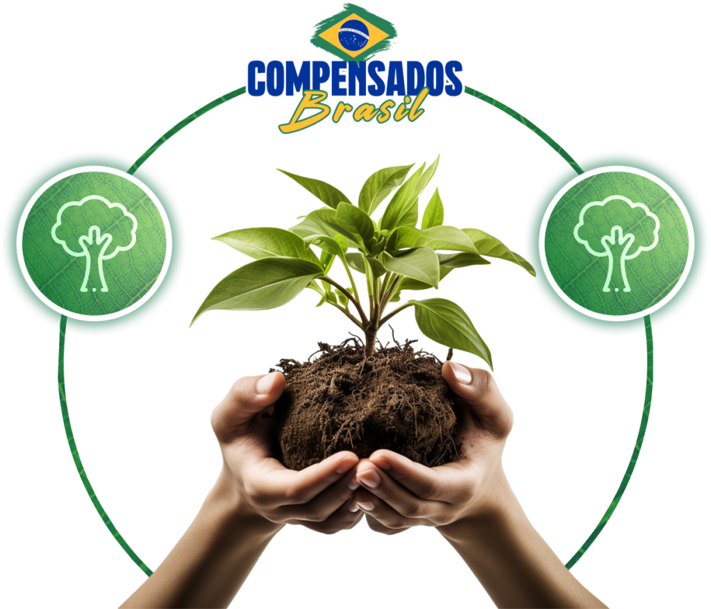 Compensados Brasil